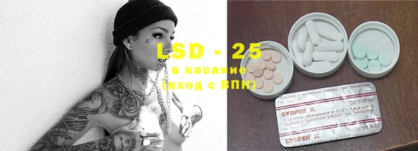 прущие крисы Беломорск