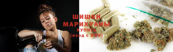 трава Белокуриха