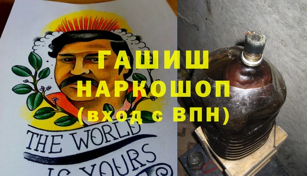 трава Белокуриха