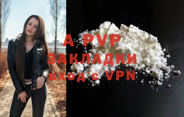 трава Белокуриха