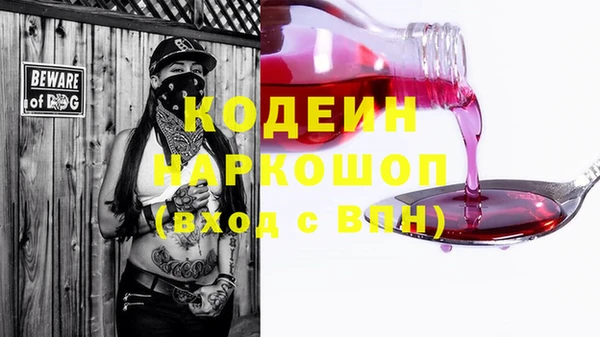 трава Белокуриха