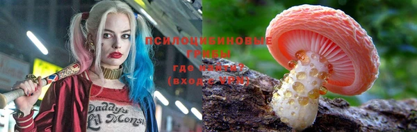 прущие крисы Беломорск